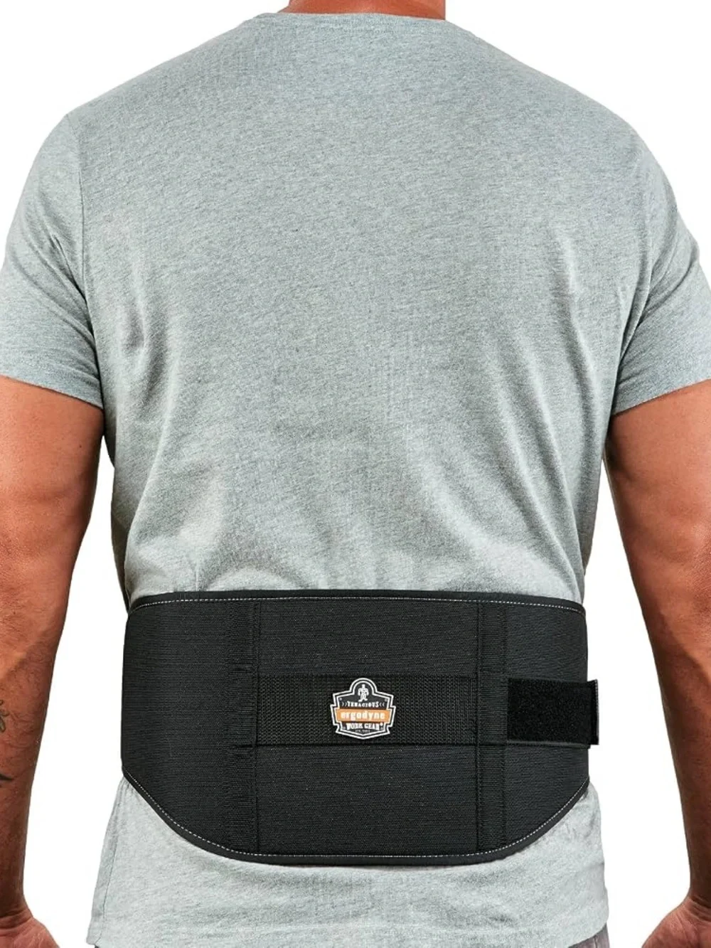 NEW! Ergodyne Proflex #1650 Economy Back Support Brace Black Size Large